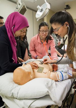 A group of students surrounding a dummy, they are using medical instruments to simulate treatment