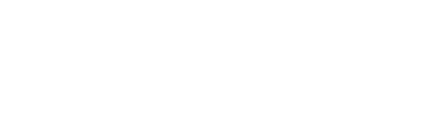 UW Excellence, Boise Community